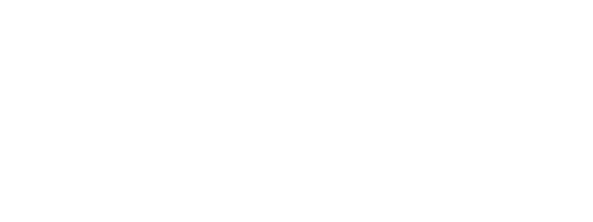 Pio Schleswig